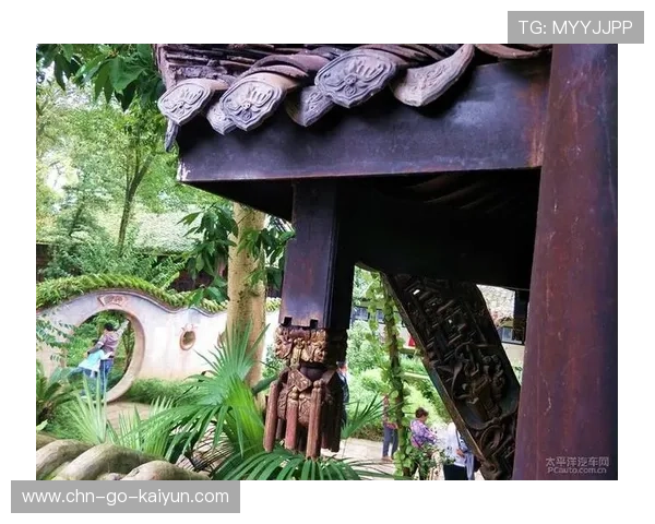 民间赛事联盟推动自下而上服务体系形成